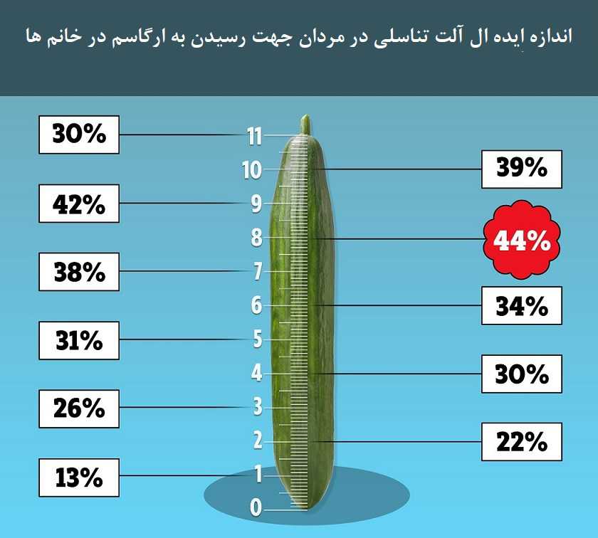 اندازه نرمال آلت تناسلی مرد و ارتباط آن با لذت جنسی