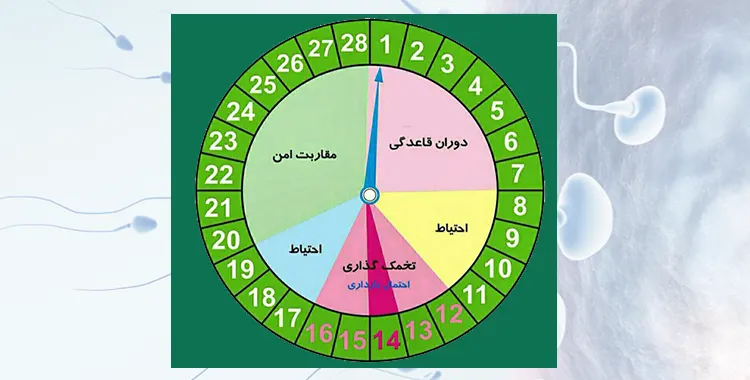 بهترین زمان برای بارداری در زنان